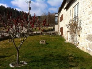 Agence de communication web proche Mende - Gîte chez Léa à Javols par So Conseils
