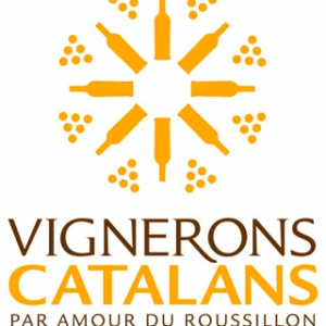 Étude de marché pour vignerons catalans par So Conseils, agence de communication digitale Lozère