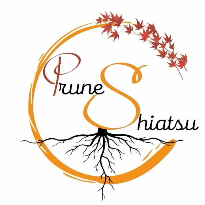 Réalisation photo et vidéo pour Prune Shiatsu par l'agence de communication SO Conseils en Lozère